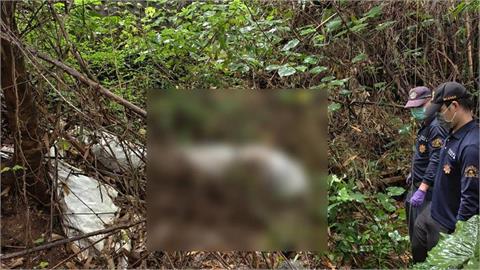 快新聞／彰化「木乃伊女屍」身分曝光！保鮮膜裹屍藏荔枝園　連日豪雨沖出真相