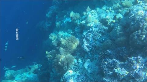 全球首位！　帛琉總統惠恕仁海中接受「美人魚」專訪