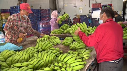 豪雨水果減產 香蕉飆漲近三倍