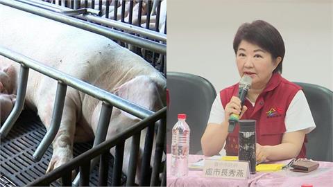 「Covid-19發生在她手上台灣已經完了」!她轟盧秀燕:沒資格選總統