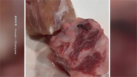 北車烤肉店驚見蛞蝓爬肉盤！　醫：誤食嚴重恐釀腦膜