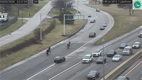 俄亥俄州警局馬匹開溜　衝上高速公路「交通停擺」