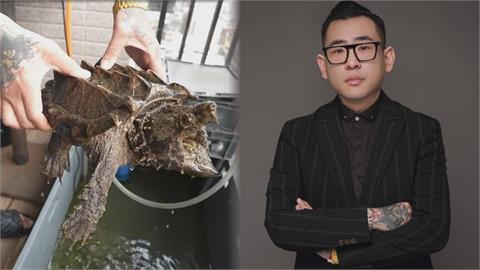蹦闆開箱家中「爬蟲王國」　竟有保育類真鱷龜：台灣已經被禁養
