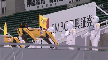 軟銀鷹高科技機器人啦啦隊 球迷眼睛為之一亮