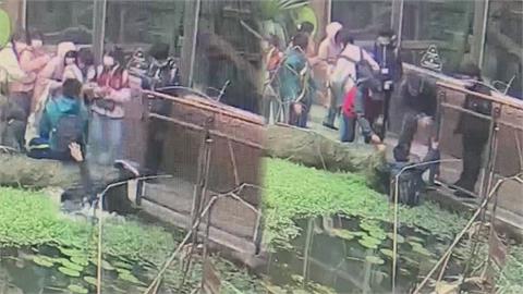 低頭族當心！男童遊動物園「慘跌水池」畫面曝　人還沒上岸先救手機