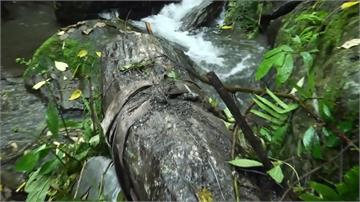 山老鼠竊玉原石？經勘查為興建圍欄廢料