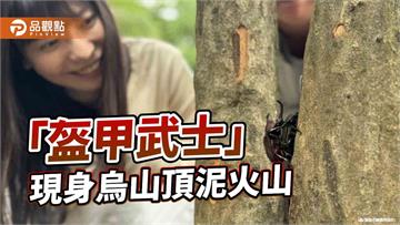 盔甲武士現身烏山頂　獨角仙與泥火山共譜地景生態之舞