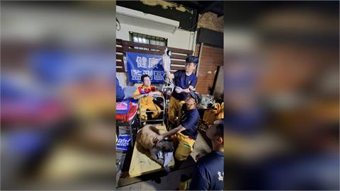 快新聞／高雄搜救隊火速馳援花蓮！28處任務完成4人4犬獲救　展現人道精神