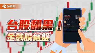 台股創新高44097點後翻黑！富邦金衝破百元　30年新高價