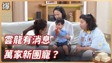 《豆腐媽媽-EP204精彩片段》雲龍有消息 萬家新團寵？