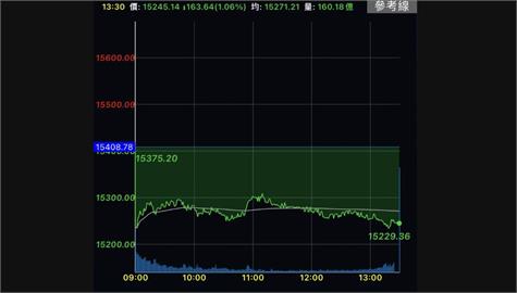 台股量縮下跌163點摜破15300關卡　生技股勁揚