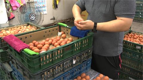 超市洗選蛋被掃空蛋荒再現？　天熱母雞產蛋量下滑蛋價上漲