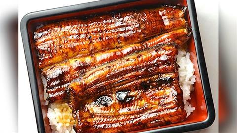 日本「完全養殖」鰻魚成功　月底上架試售創全球首例