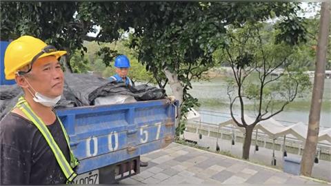 木棉樹棉絮飄散惹民怨 竹市府:已進行果莢打除作業