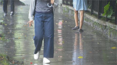 雨天步行疑雨傘碰撞爆衝突　植物園外男女互毆受傷互告傷害