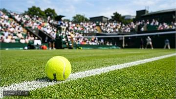 Serena Williams獲外卡重返溫網　女單群雄割據戰況激烈