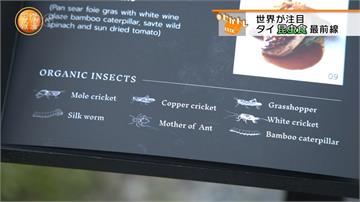 昆蟲入菜風潮？泰國推高級蟲蟲西餐