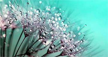 「寒露」天氣漸轉涼！4生肖易感冒　養生及禁忌一次看