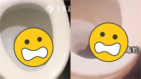 驚悚片瘋傳！26樓租客驚見「馬桶冒出1.5公尺巨蛇」還四目相對…結局超反轉