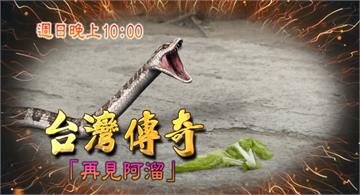 《台灣傳奇》靈蛇阿溜下凡找母親  影響許家兄弟姻緣？！