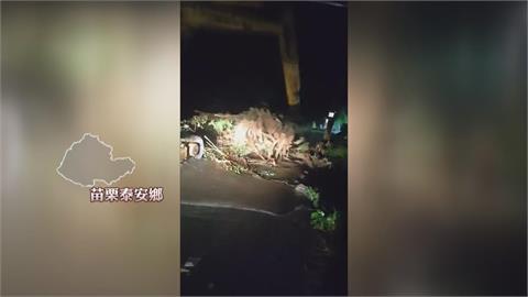 巴威重創苗栗泰安！　累積雨量破400毫米　多處道路中斷
