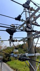 快新聞／高雄大社、燕巢2000多戶停電！ 台電：楠梓變電所饋線跳脫