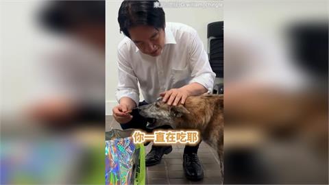 快新聞／賴清德超寵毛孩！親餵「總統認證狗零食」　斑斑秒嗑萌翻網友