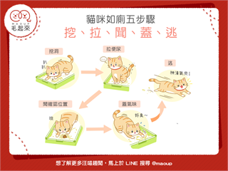 【喵喵行為學】貓咪如廁五步驟！挖、拉、聞、蓋、逃