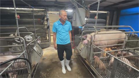 全國養豬協會憂台對美「零關稅」　豬農：產地標示一定要清楚