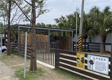 新竹「1開放式農場」遭議員踢爆違法經營　產發處證實：去年已開罰4次