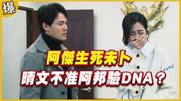《黃金歲月-EP183精采片段》阿傑生死未卜   晴文不准阿邦驗DNA？
