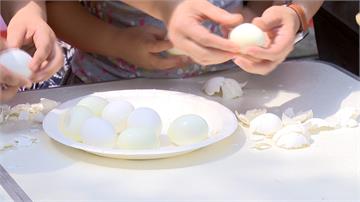 蛋價回穩！農委會推廣新鮮、營養國產雞蛋