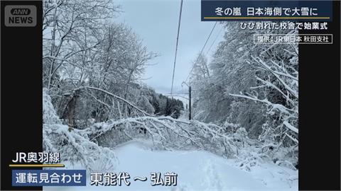 遊日注意！日本大雪亂連假　下週一恐現十年來最大風雪