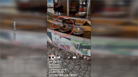 濃濃「人禽味」！高雄自助餐驚見「鴿子踩餐盤狂嗑」衛生局出手了