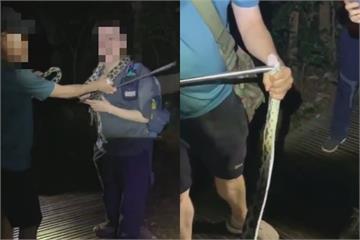 高雄5登山客虐玩保育類「黑眉錦蛇」　離譜行徑恐挨罰30萬元