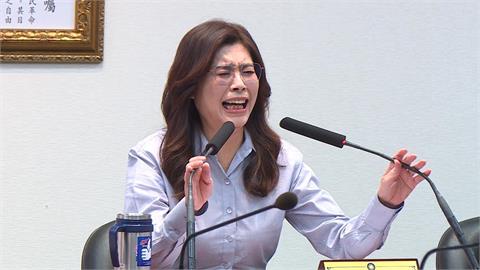 快新聞／鄭麗文認了！鬆口這深藍地盤慘淪艱困選區：藍營大咖受傷很重