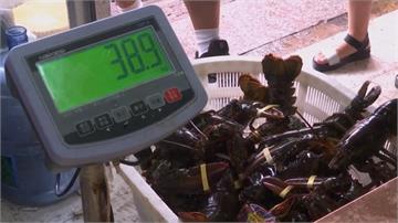 美蝦蟹「加稅」太貴 中國海鮮商改從挪威進口