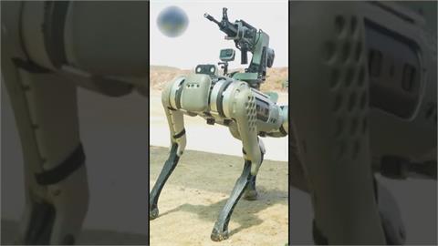 中國解放軍AI機器狗亮相　身背步槍恐成巷戰利器