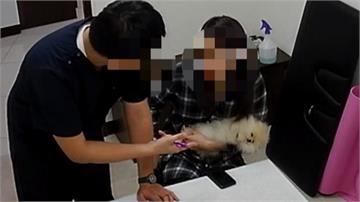 動物醫院急救瀕死犬 飼主假匯款詐欺起訴