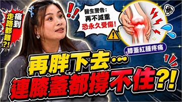 董仔《醫學大聯盟》揭「內臟脂肪」隱形殺手：脂肪堆積胰臟恐損大腦！