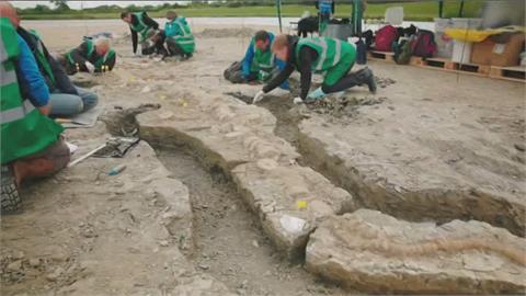 英國史上最大最完整　10公尺巨大魚龍化石出土