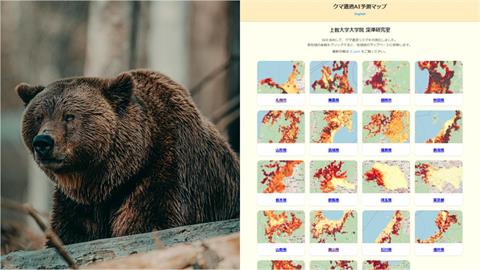 全球首例!日推AI「熊出沒地圖」 赴日旅客輕鬆掌握「與熊的距離」