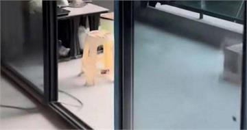 砸4百萬買毛胚屋！開門驚見「陌生人偷家」水電全通　她傻眼：馬桶都裝了