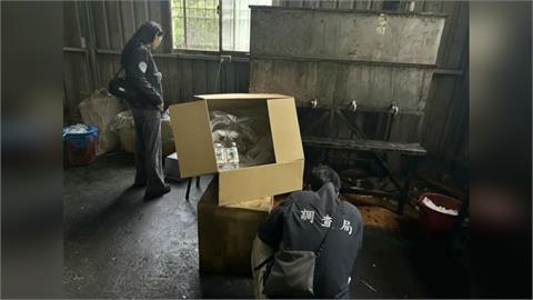 橄欖油１：２５混低價芥花油　母子檔牟利１５００萬８０萬交保