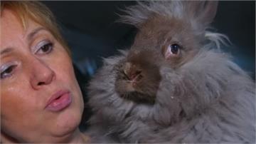 保護早產兒度過寒冬 俄羅斯「安哥拉兔廠」捐贈兔毛針織衣物