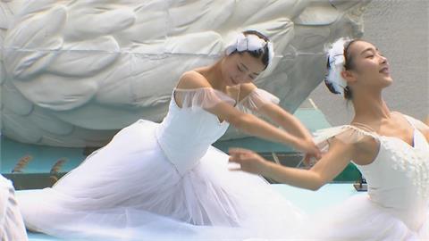 雲林天鵝湖嘉年華登場 8米高天鵝藝術裝置亮相