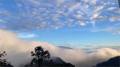 不只雲海還出現「雲瀑」　中海拔薑麻園季節限定