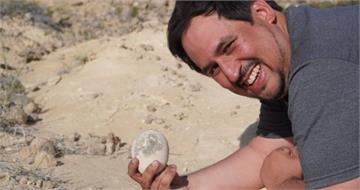 侏儸紀公園成真？7千萬年恐龍蛋出土　「表面光滑如水煮蛋」保存超完整