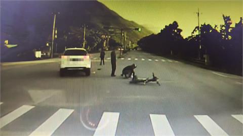花蓮8旬男騎單車衝快車道遭撞飛　住加護病房搶救中