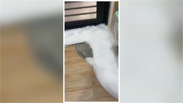國家品質? 萬華社會住宅 廚房狂冒泡泡水